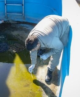 Prevención del dengue: refuerzan medidas para eliminar criaderos