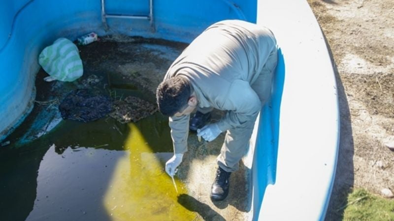 Prevención del dengue: refuerzan medidas para eliminar criaderos