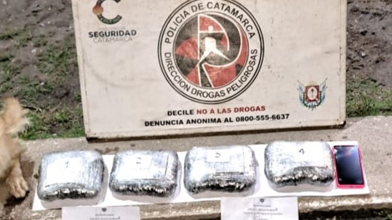 Venta de drogas: se receptaron más de 300 denuncias anónimas durante 2025