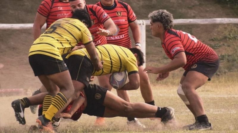 Hurones irá por el título en la Andina