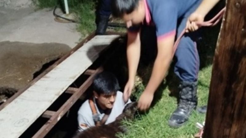 Rescataron a un perro que cayó a una fosa séptica