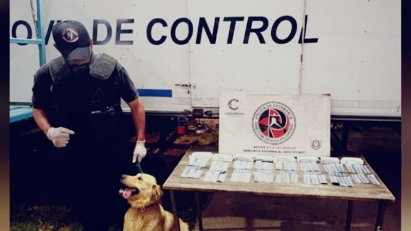 Secuestraron más de 500 comprimidos de ansiolíticos