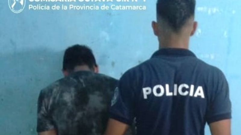 Le robó el celular a la madre y se ocultó arriba de un árbol