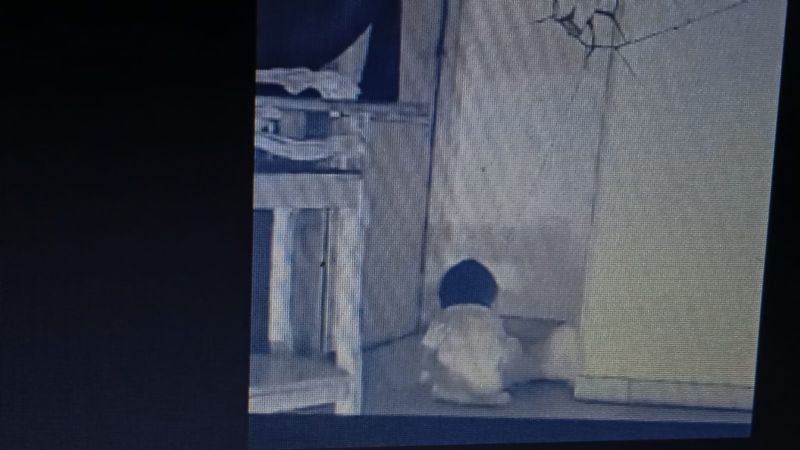 Prohibieron a la niñera acercarse a la familia de los mellizos que maltrató