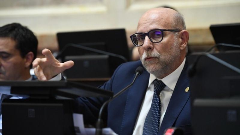 Fama dijo que la suspensión de las PASO beneficia a la casta