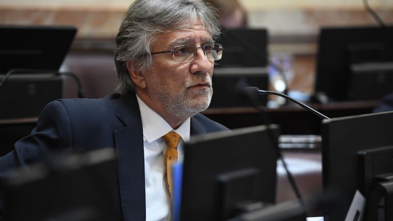 Andrada acompañó suspender las PASO este año