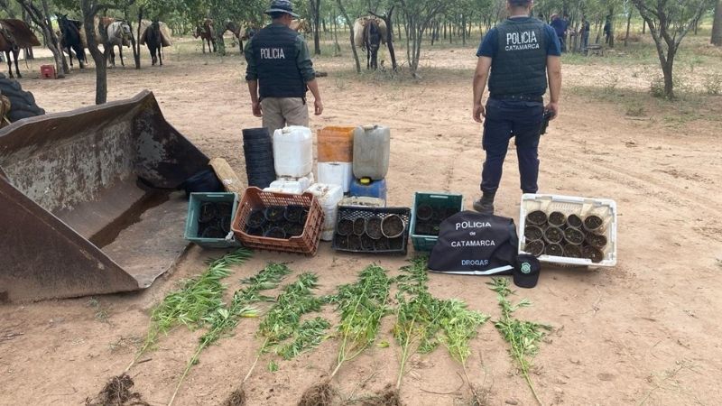 En una estancia de la Paz, secuestran droga, animales y un arma de fuego