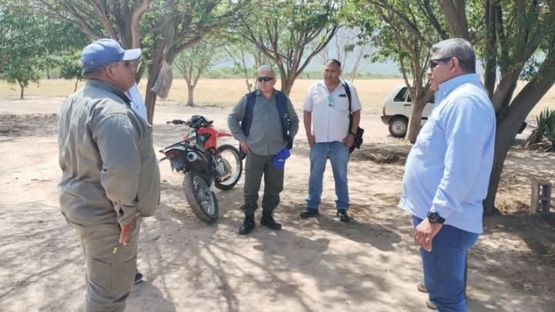 Intensos Operativos de Control en Empresas Olivícolas