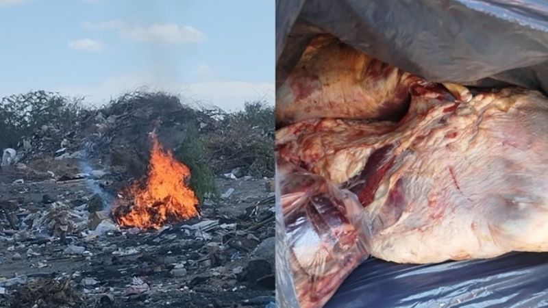 Llevaba 50 kilos de carne en el auto