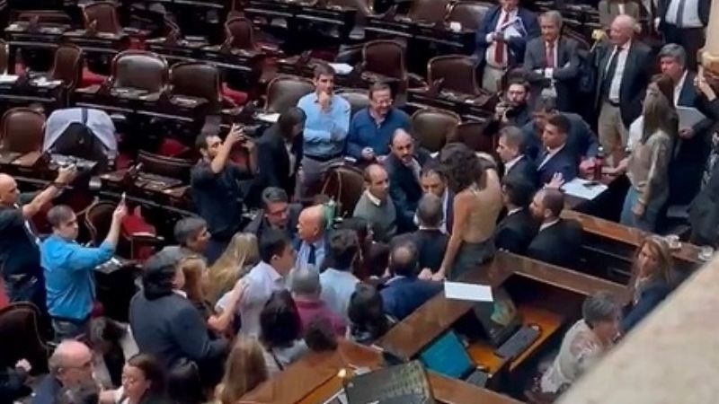 Escándalo en Diputados, con libertarios a las piñas