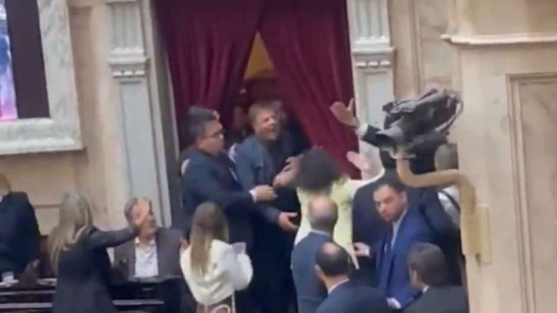 Escándalo en Diputados, con libertarios a las piñas