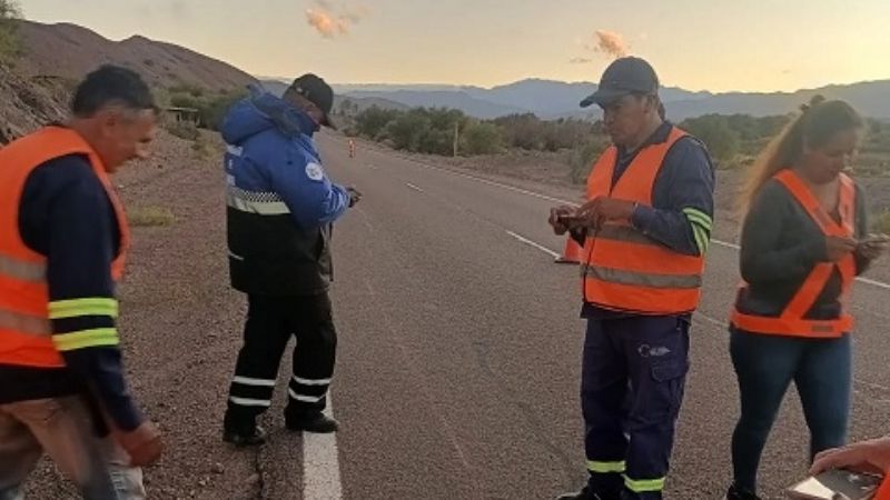 Controles vehiculares en Ruta 60 ponen al descubierto serias irregularidades
