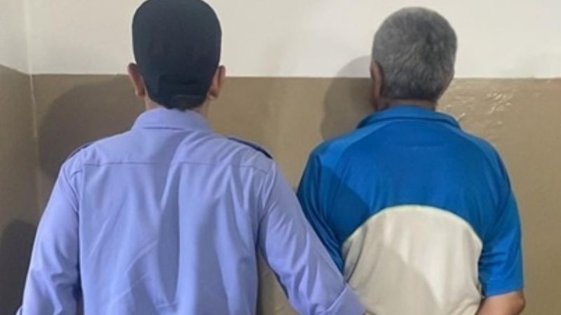 Abuelo de 74 años tenía plantines de marihuana en su casa