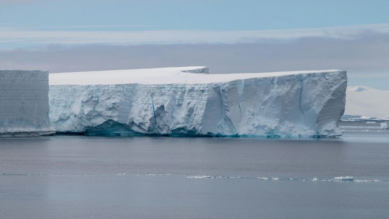Antártida: El impactante ecosistema oculto bajo el hielo
