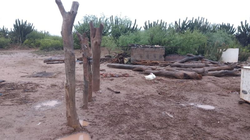 Inundaciones en La Paz: pobladores solicitan ayuda urgente