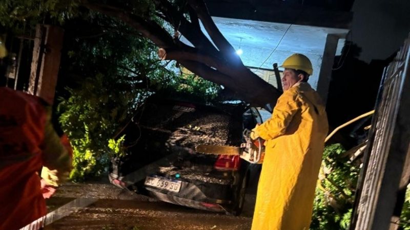 El Gobierno informó que por la tormenta realizaron más de 40 intervenciones