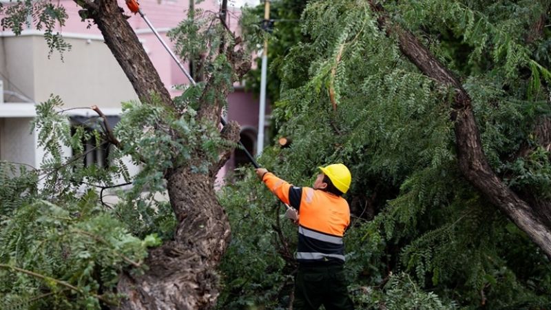 Amplio operativo municipal por el temporal