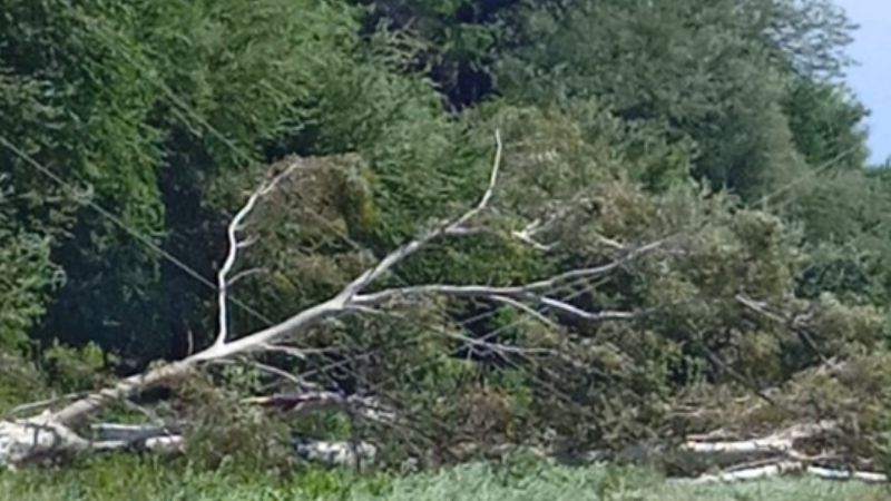 Localidades de Capayán sin energía eléctrica