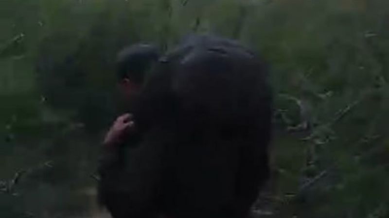 Hallaron con vida a un hombre desaparecido