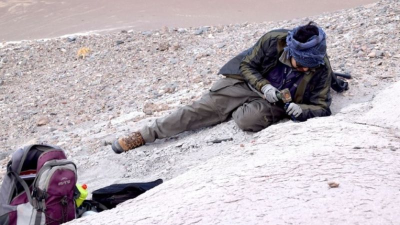 Descubrimiento histórico en Catamarca: científicos hallan una especie prehistórica desconocida