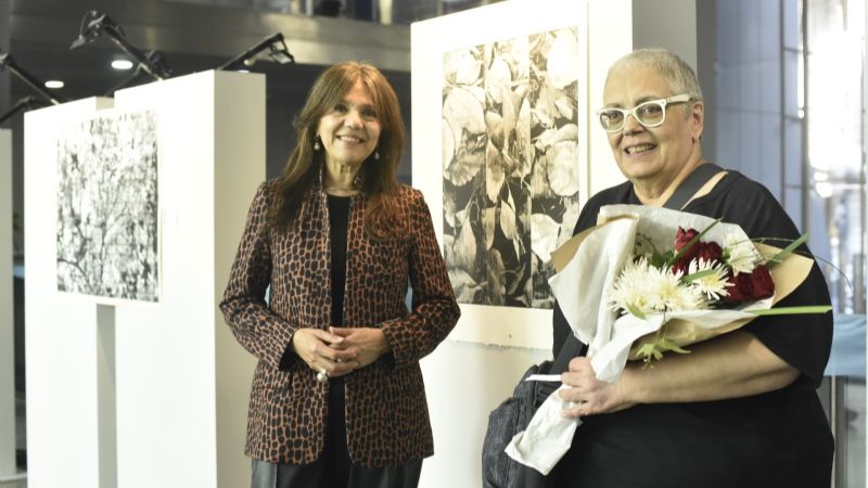 Se exponen en el Congreso obras de la catamarqueña Ada Cigno