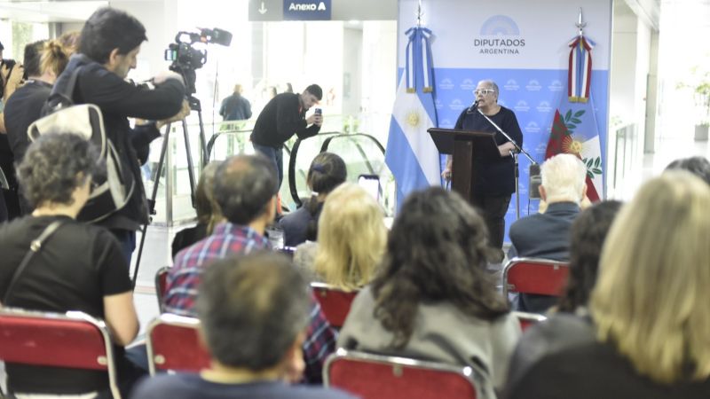 Se exponen en el Congreso obras de la catamarqueña Ada Cigno