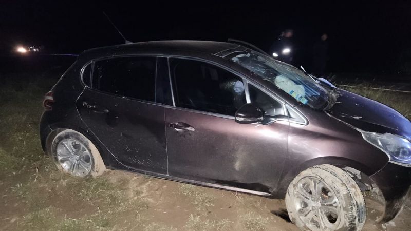 Un automóvil chocó contra un animal