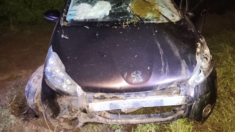 Un automóvil chocó contra un animal