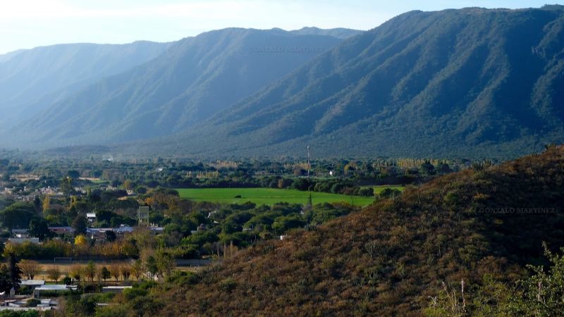 Violencia intrafamiliar: demoran a un adolescente por agredir a su madre