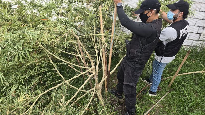 Capturaron a un ciclista con casi dos kilos de droga