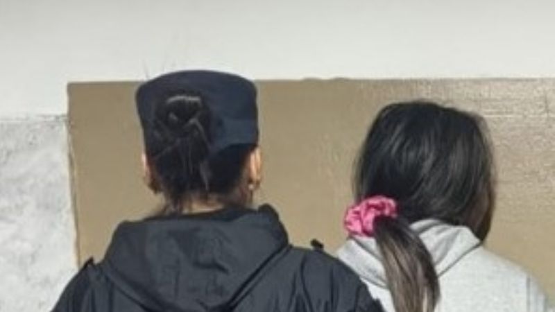 Aprehenden a una joven y demoran a un adolescente por agresión