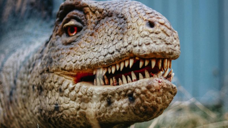 “Expo Experiencia Jurásica” desembarca por primera vez en Catamarca