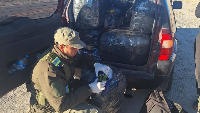 Decomisan 350 kilos de hojas de coca