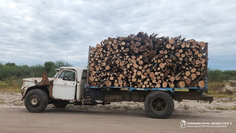 En La Paz policías secuestraron siete toneladas de leña y un camión