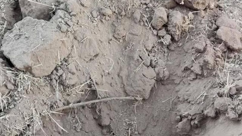 Indignación en Tinogasta: robaron el cableado de una iglesia en Cachiyuyo