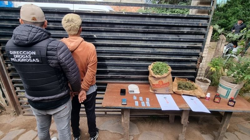 Otro golpe al narcomenudeo: secuestran dos kilos de marihuana