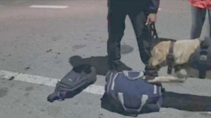 Subió en Salta con 6 kilos de marihuana rumbo a Catamarca y fue detenida en Tucumán