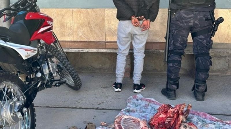 Robaron y faenaron dos corderos