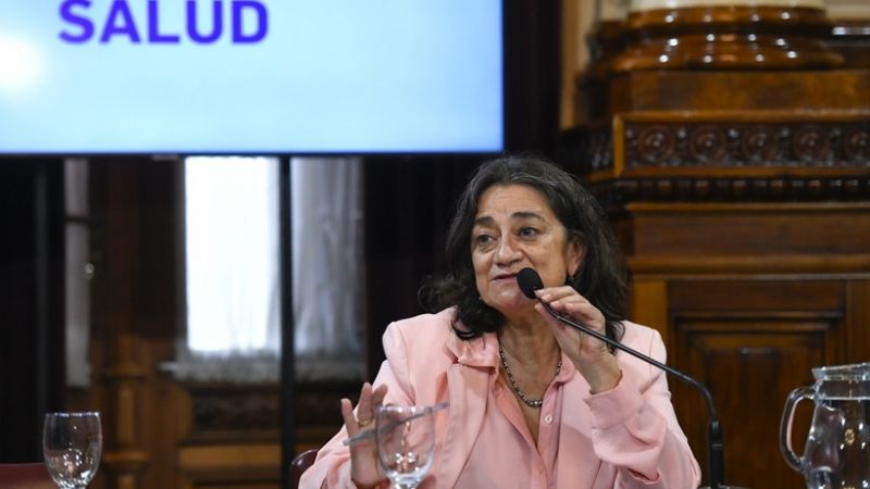 Corpacci, preside comisión de Salud en el Senado