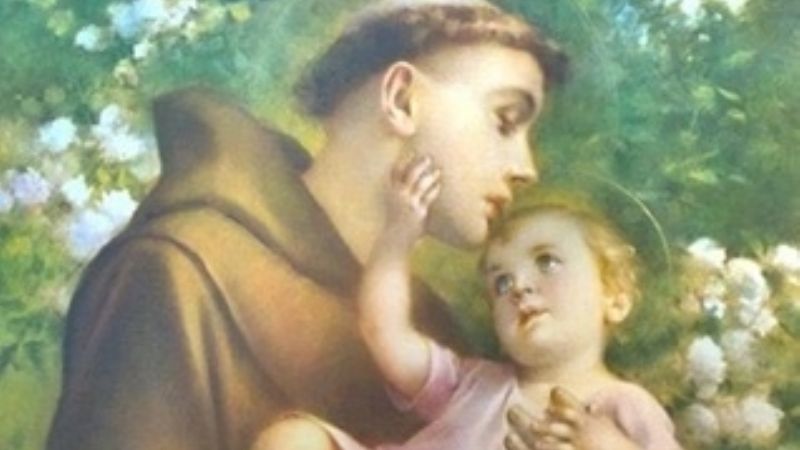 Fiestas patronales en honor de San Antonio de Padua