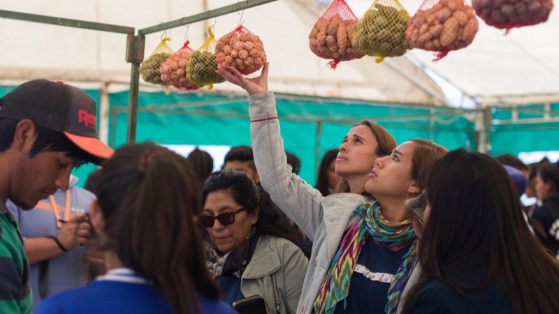 Finde con agenda para todos los gustos