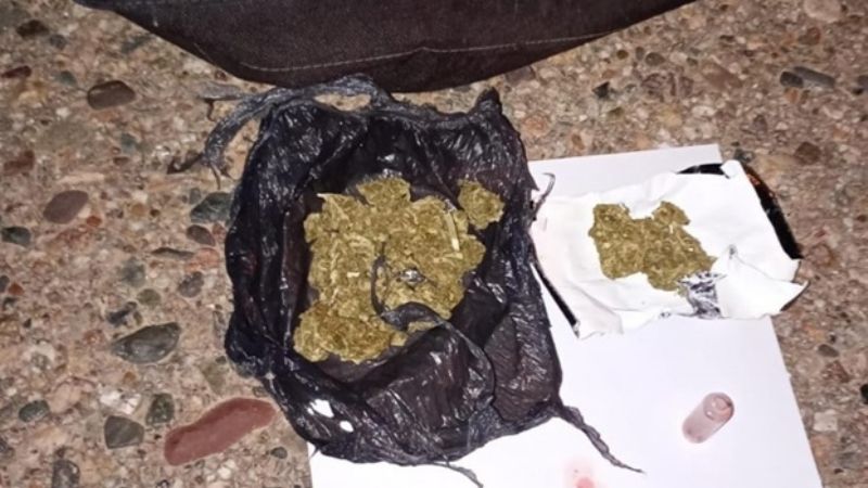 Secuestran cogollos de marihuana