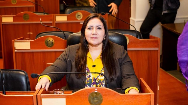 Carrizo exige informes sobre proyectos productivos inconclusos