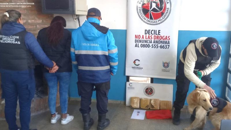 Cayó con casi 4 kilos de marihuana en un colectivo