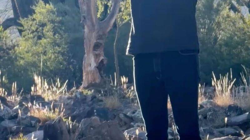 “Vinos y sabores” continúa este fin de semana con turismo, gastronomía y mucho arte catamarqueño