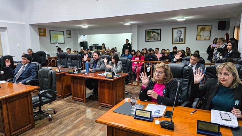 Capital: aprueban que vehículos oficiales deberán estar ploteados