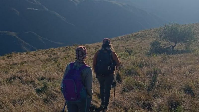 Actividades para disfrutar al aire libre en la ciudad