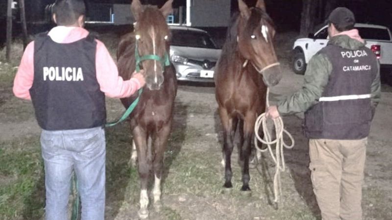 Inician sumario a policías sospechados de abigeato