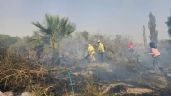 Incendio de viñedos causó alarma en el centro de Fiambalá