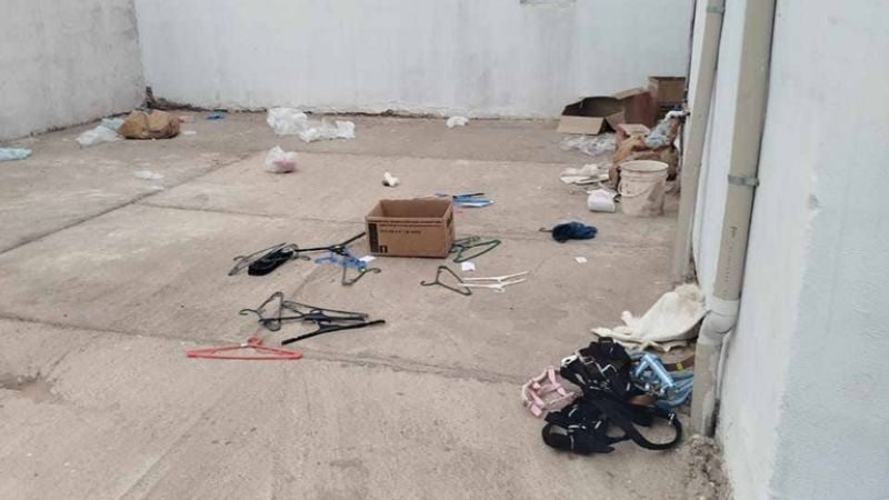 Ladrones desvalijaron un comercio en Recreo